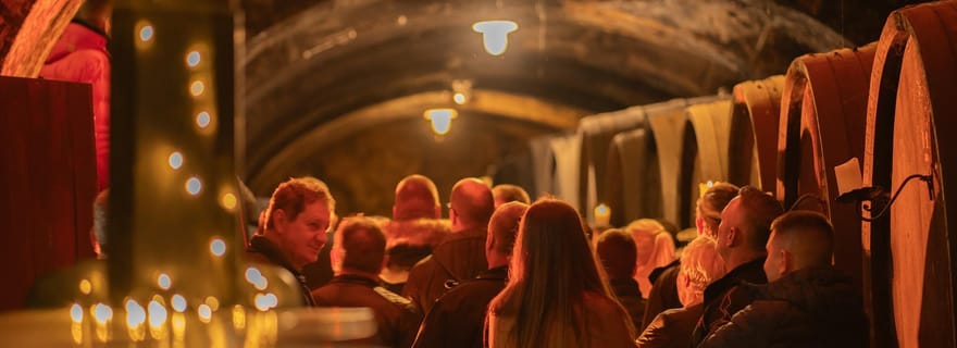 Maribor : Visite de la cave à vin Vinag avec dégustation de vins et collations