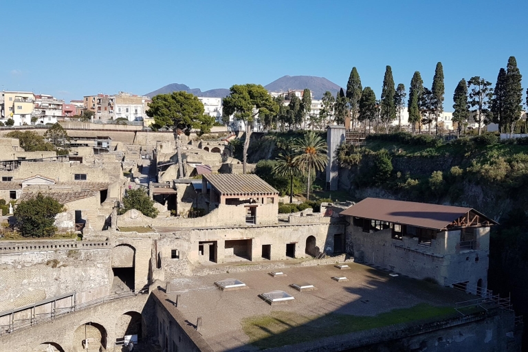 Nápoles: excursión de un día a Herculano y Vesubio
