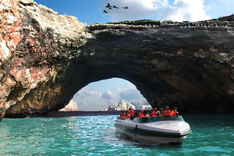 Full Day Ballestas Islands – Paracas National Reserve