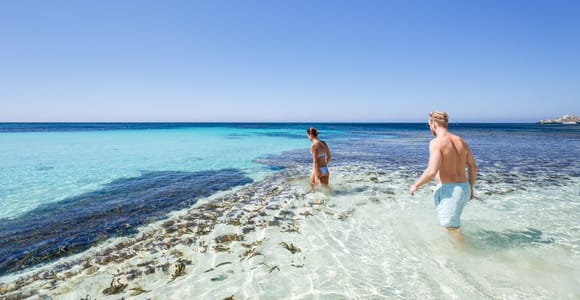 Von Perth aus: Rottnest Island Fähre & Bustour Tagestour