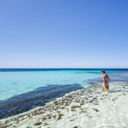 From Perth: Rottnest Island Ferry & Bus Day Tour