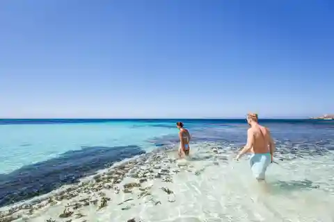 Desde Perth Excursión de un día en ferry y autobús a la Isla Rottnest