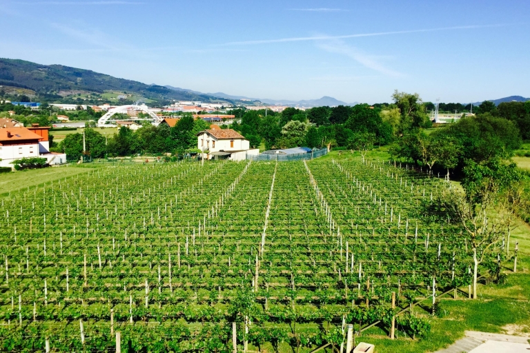 Bilbao: Geführte Txacoli WeinverkostungFranzösisch geführte Txacoli-Weinverkostung