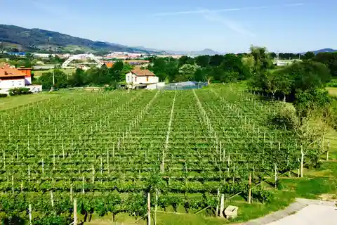Bilbao: Cata Guiada de Txacoli