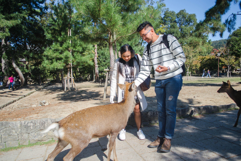 Kobe: Private Shore Excursion to Kyoto, Osaka, or Nara 3-Hour Tour