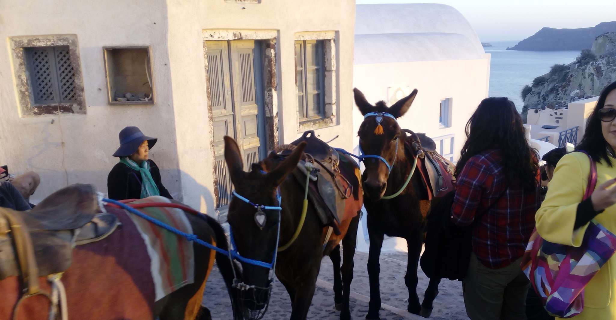 Santorini, Small-Group Highlights Tour of Venetian Castles - Housity