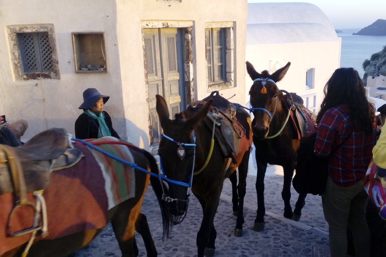 Santorin: Faits saillants en petit groupe Visite des châteaux vénitiens