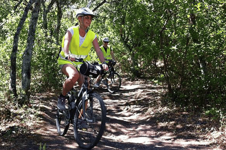 Desde Lisboa: tour en bicicleta por Sintra con almuerzo y 2 atracciones