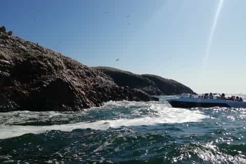 From Lima: Ballestas Islands, Winery & Huacachina Oasis Tour