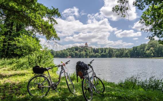Von Prag: Fahrradtour zum Schloss Konopiste