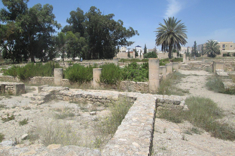 From Hammamet/Sousse: Amphitheatre Visit (All inclusive) From Sousse/Monastir: Amphitheatre Visit (All inclusive)