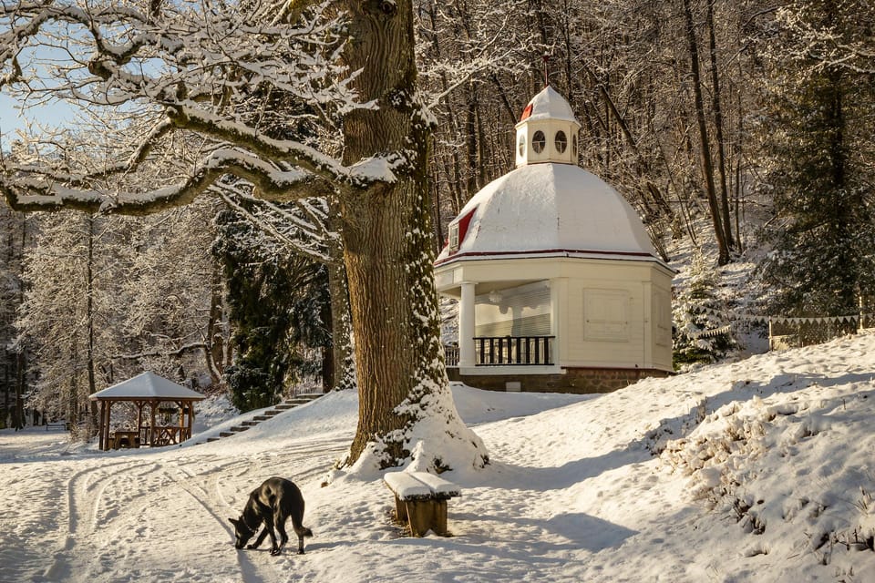 Vanuit Riga Groepstour Naar Sigulda En Turaida Getyourguide