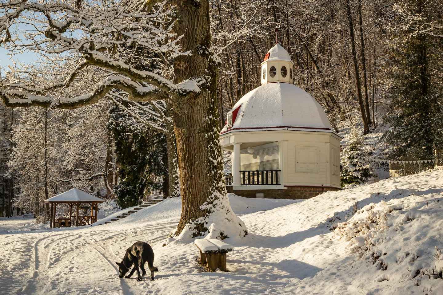 Desde Riga: Tour en Grupo a Sigulda y Turaida