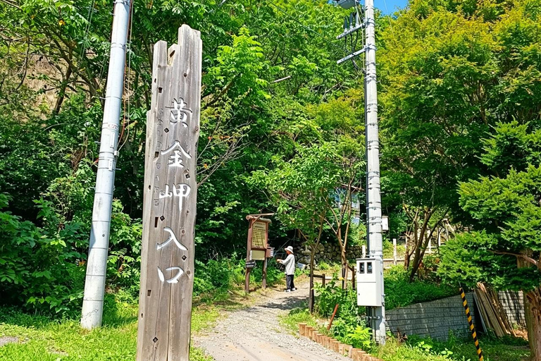 Otaru, Yoichi Distillery & Cape Kamui (Shakotan) Day Trip Upgrade to Private Tour