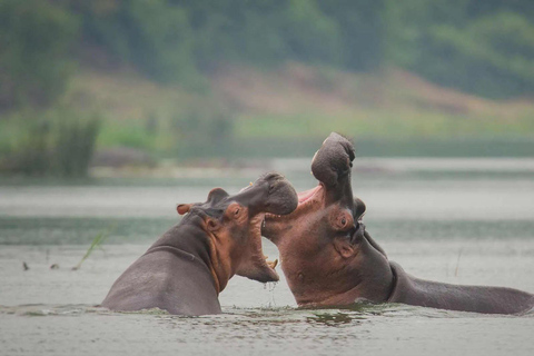 Kampala: Lake Mburo National Park 2-Day Safari Tour