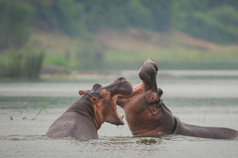 Kampala: Lake Mburo National Park 2-Day Safari Tour