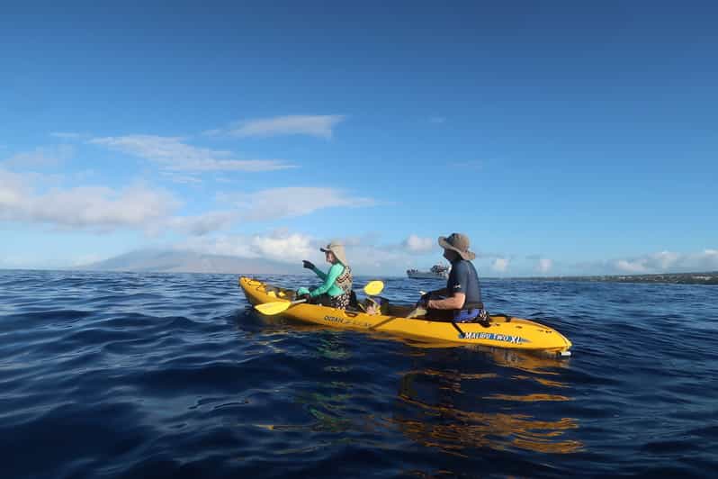 Maui Turtle Town Kayak and Snorkel Tour GetYourGuide
