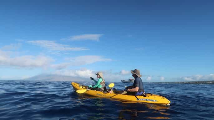 maui turtle town kayak y snorkel tour