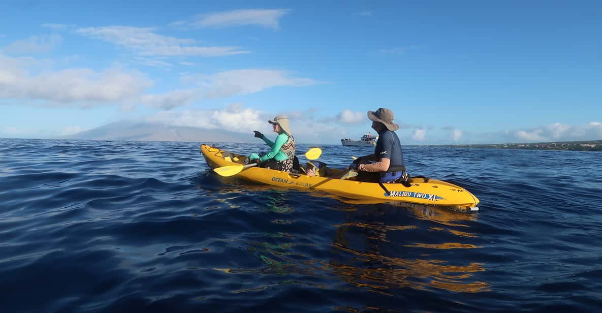 Maui: Turtle Town Kayak and Snorkel Tour