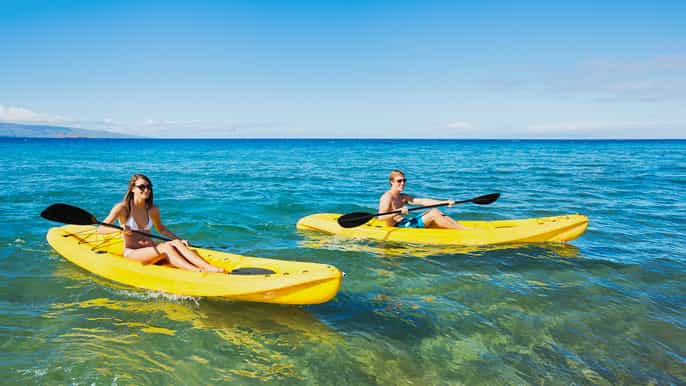 maui premium turtle town kayak and snorkel tour