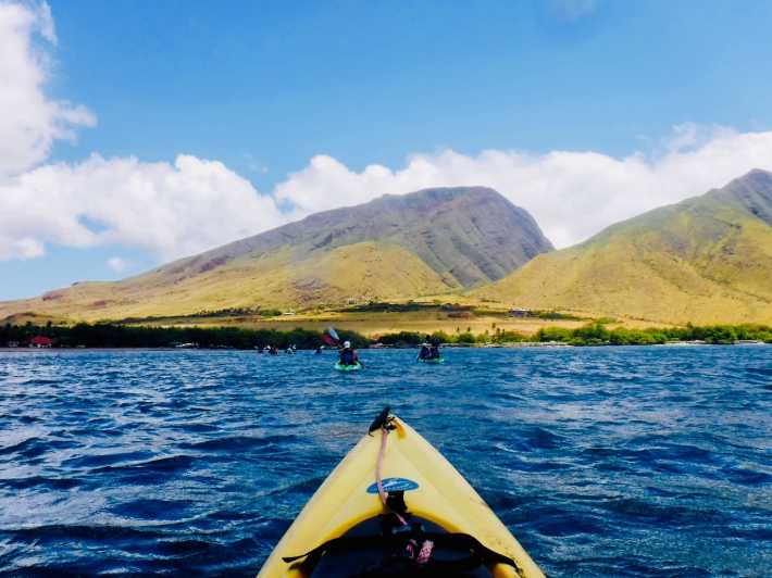 Maui West Side Discovery Kayak And Snorkel Tour Getyourguide