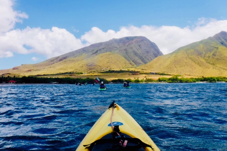 Maui: West Side Discovery Kayak en Snorkel Tour