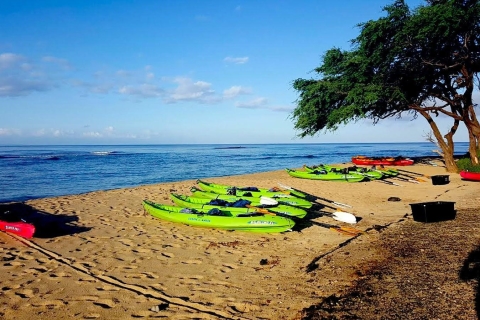 Maui: West Side Discovery Kajak und Schnorcheltour
