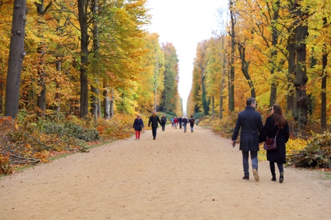 From Berlin: Historical Gems of Potsdam Private Day Trip