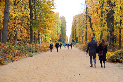 Ab Berlin: Historische Schätze Potsdams - Private Tour