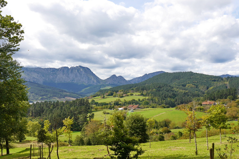 De Bilbao: visite d'Elorrio, d'Oñati et du sanctuaire d'Arantzazu