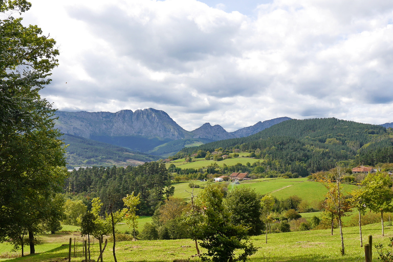 From Bilbao: Elorrio, Oñati, and Sanctuary of Arantzazu Tour