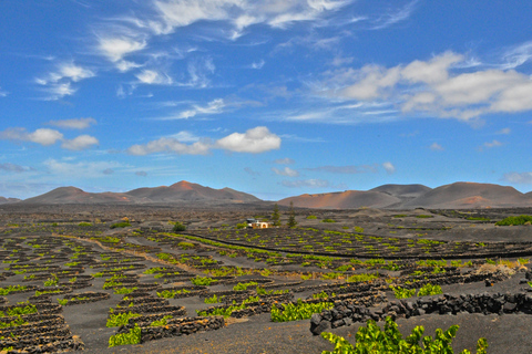 Tour del Sud: Parco nazionale di TimanfayaTour sud: Parco Nazionale di Timanfaya