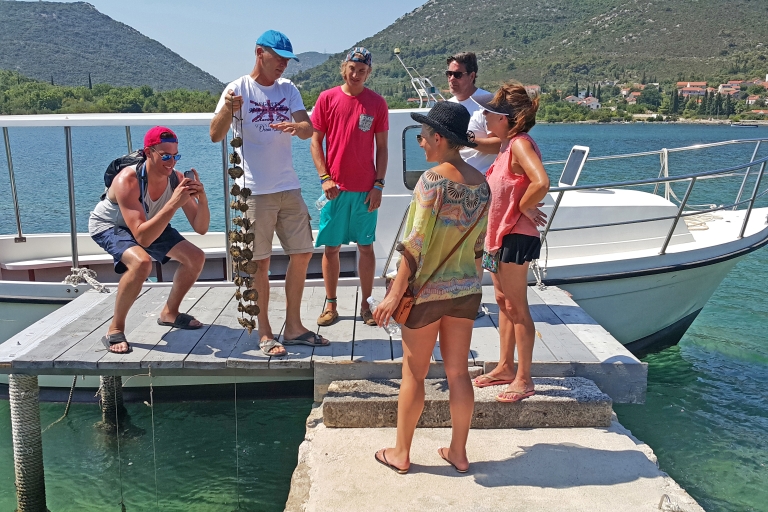 Visite privée de dégustation d'huîtres de Ston au départ de Dubrovnik