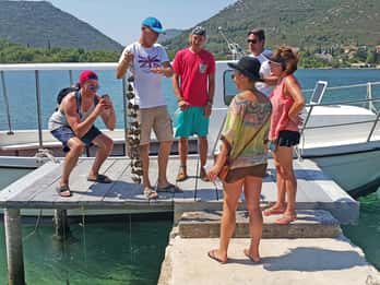 Ston Oyster & Wine Tasting Private Tour From Dubrovnik