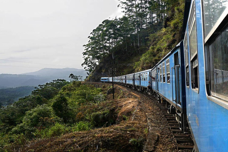 Kandy to Nanu Oya Transfer+Free Train Ticket Nanu Oya > Ella