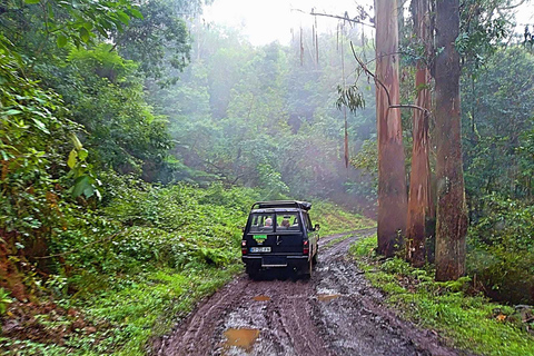 Vanuit Funchal: jeepsafari van een hele dag