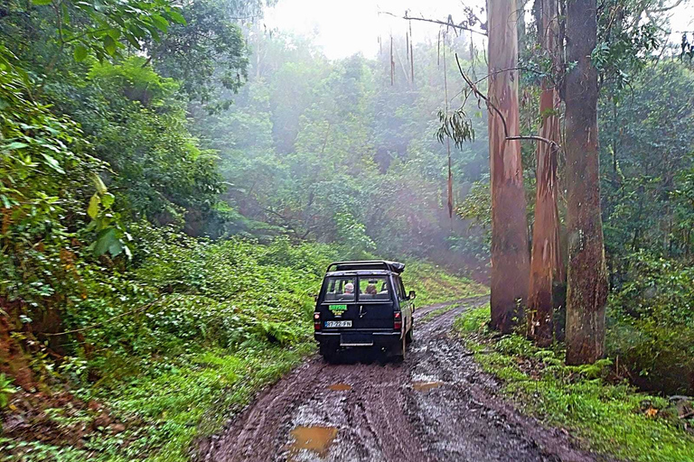 Da Funchal: Tour di un giorno intero con safari in jeepDa Funchal: safari in jeep di 1 giorno