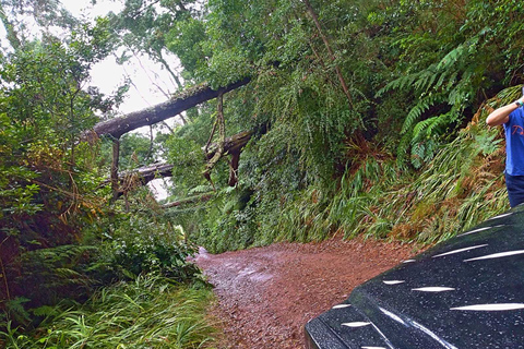 From Funchal: Full-Day Jeep Safari Tour