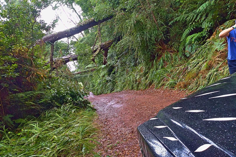 From Funchal: Full-Day Jeep Safari Tour