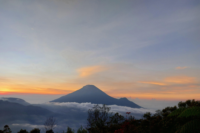 Excursion au lever du soleil sur le plateau de Dieng Sikunir avec guide