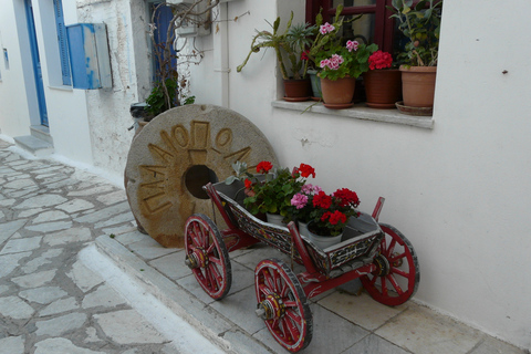 Från Mykonos: Dagsutflykt till ön TinosTur med start från Tinos hamn