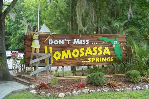 Orlando: Manatees Swim, Snorkel and Boat Day Tour