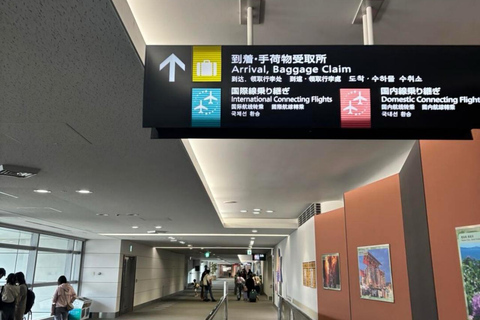 Nagoya Airport Pickup 2-Hour Private Nagoya Highlights Tour