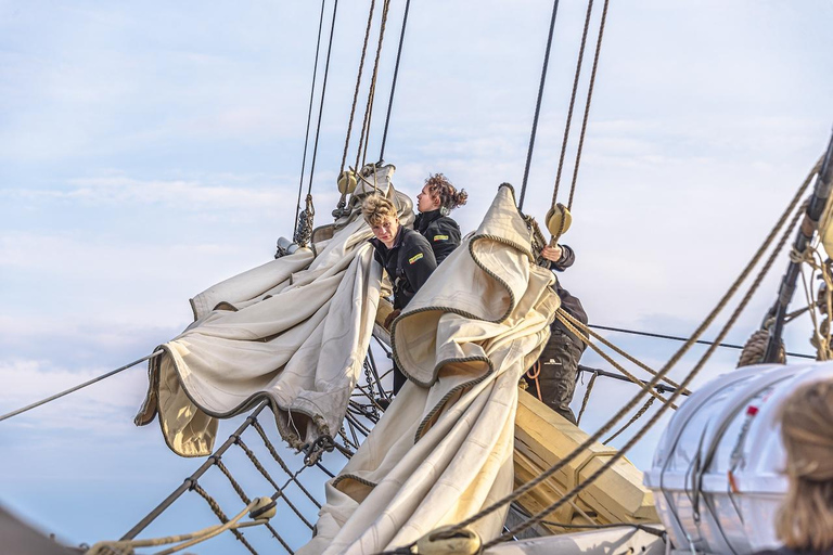 Stockholm: Historic Sailing Adventure on Traditional brig Full Day (7h)