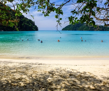 From Phuket/Khaolak: Surin Islands Snorkeling Day Trip