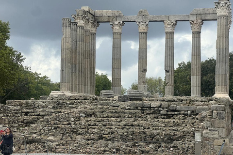Evora, cantina e fabbrica di sughero: Trasporto privato di un&#039;intera giornataEvora, azienda vinicola e fabbrica di sughero: trasporto privato per l&#039;intera giornata