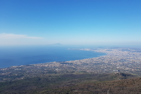 From Naples: Day Trip to Mount Vesuvius with Alpine Guide