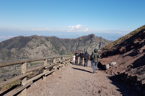 Da Napoli: Escursione di un giorno al Vesuvio con la Guida AlpinaVesuvio: tour da Napoli con guida alpina