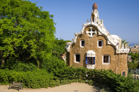 Barcelona: Tour guiado pelo Parque GüellFrancês: Visita guiada sem fila ao Parque Güell