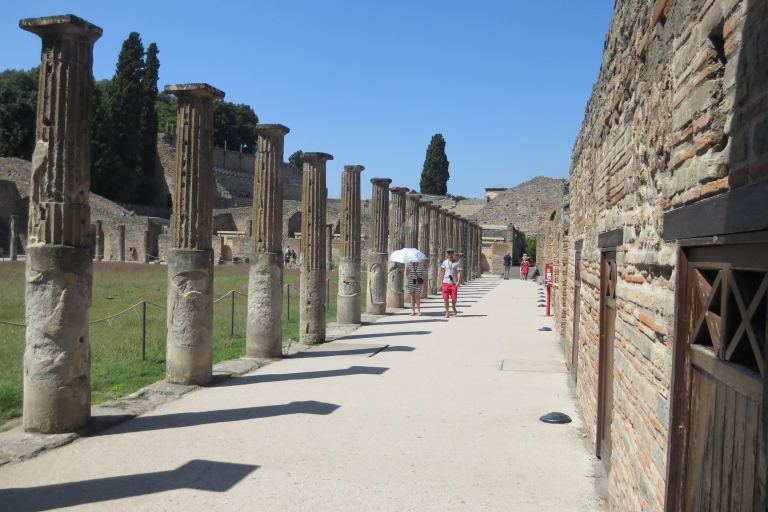 Pompeje i Neapol: 1-dniowa wycieczka pociągiem z Rzymu
